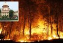 सुप्रीम कोर्ट में पहुंचा उत्तराखंड के जंगलों में आग का मामला, तत्काल सुनवाई की मांग की