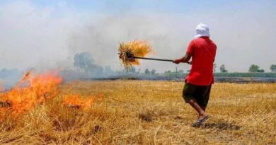 पराली के प्रबंधन की कला अपना ली है मिलावली के किसानों ने