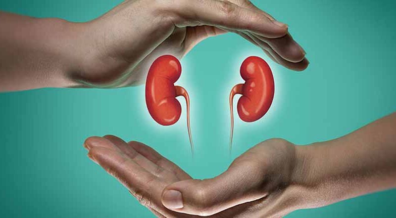 किडनी को सेहतमंद रखना के लिए करें ये काम