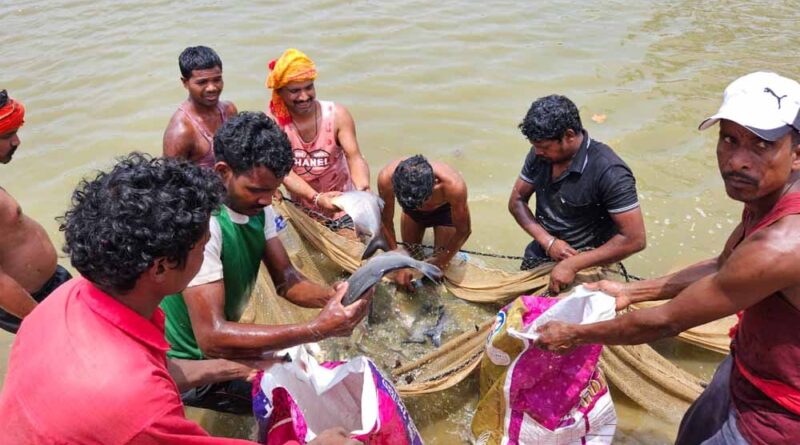 शासकीय योजना से मिली रोजगार की राह, दिनेश सिंह ने मत्स्य पालन से बनाई अपनी पहचान, अन्य लोगों को दे रहे हैं रोजगार