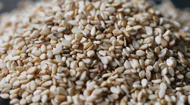 हड्डियों को मजबूत बनाए रखने के लिए डाइट में शामिल करें सफेद तिल