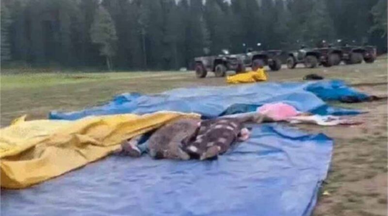 भारत ने पेश किए पक्के सबूत !, पहलगाम हमले में पाकिस्तान का सीधा हाथ, पूरा विश्व खड़ा साथ