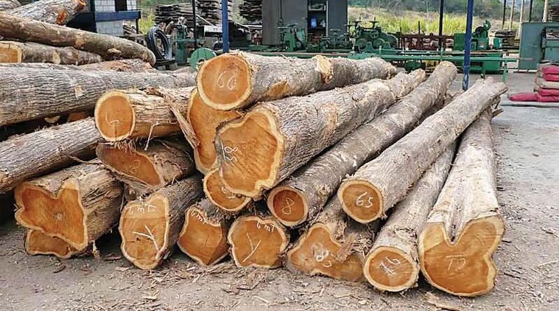 मध्यप्रदेश टिम्बर डिपो नई दिल्ली में मई माह में सागौन काष्ठ की होगी नीलामी