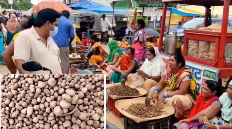 सबसे महंगी सब्जियों में शुमार छत्तीसगढ़ में रोड पर बिक रहा बोड़ा