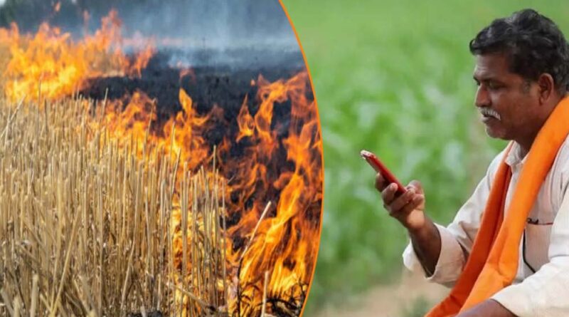 एमपी में नरवाई जलाने वाले 7000 किसानों की किसान सम्मान निधि पर लगेगी रोक? जानें क्यों होगा ऐसा