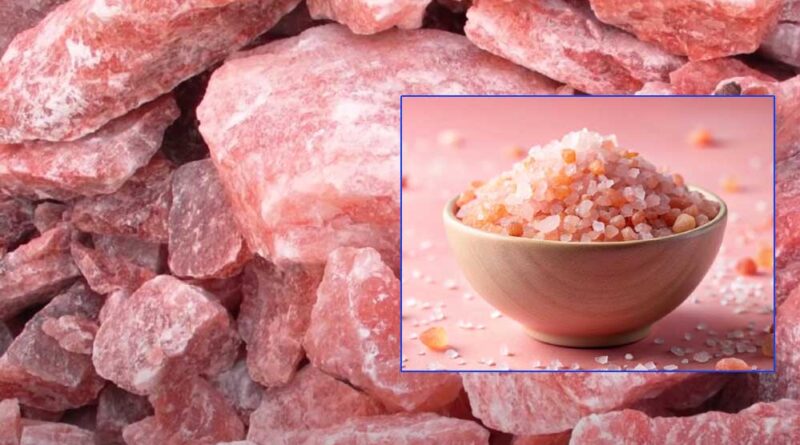 पाकिस्तान दुनिया में हिमालयन पिंक सॉल्ट सबसे बड़ा उत्पादक, भारत ने मना किया तो भागा-भागा फिर रहा