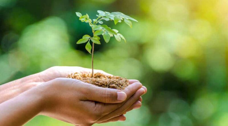 नगरीय क्षेत्रों में एक करोड़ पौध-रोपण का लक्ष्य, विशेष पौधरोपण अभियान 5 जून से