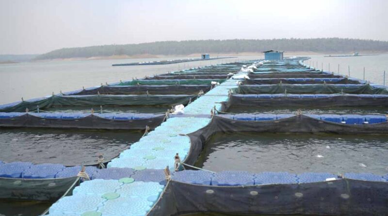 छत्तीसगढ़ में फिशरीज के नये युग की शुरूआत, हसदेव डुबान में बनेगा पहला एक्वा पार्क