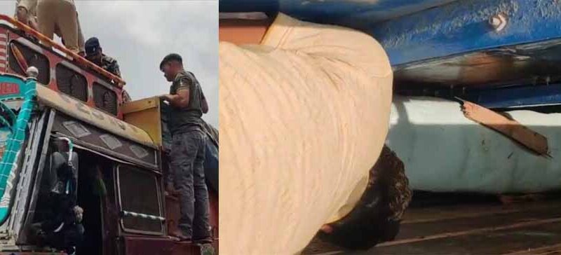 ‘पुष्पा’ स्टाइल में तस्करी का खुलासा: ट्रक की तलाशी में मिला गांजे का जखीरा, दो तस्कर गिरफ्तार