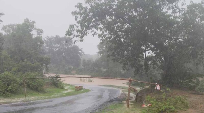 शहडोल में भारी बारिश का कहर: रेलवे स्टेशन और अस्पताल जलमग्न