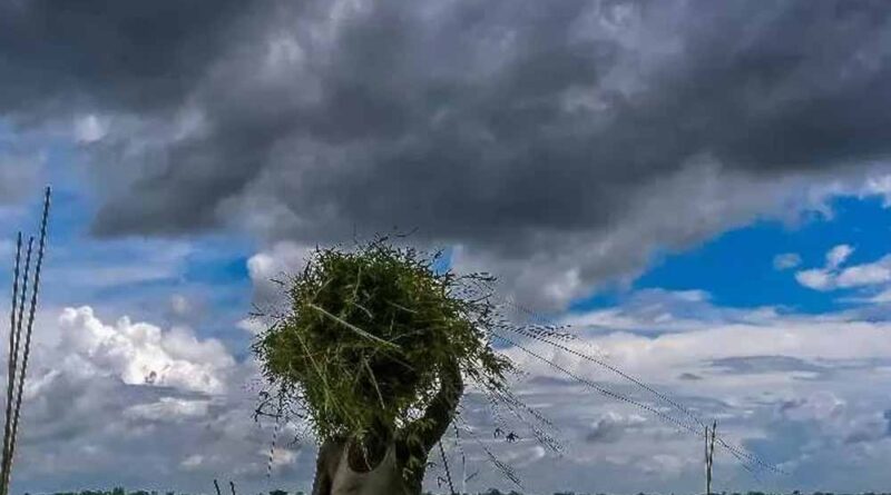 मानसून लगभग पूरे देश में पहुंच चुका, कैसा रहेगा अगले 5 दिनों के मौसम का हाल?, बारिश का अलर्ट जारी