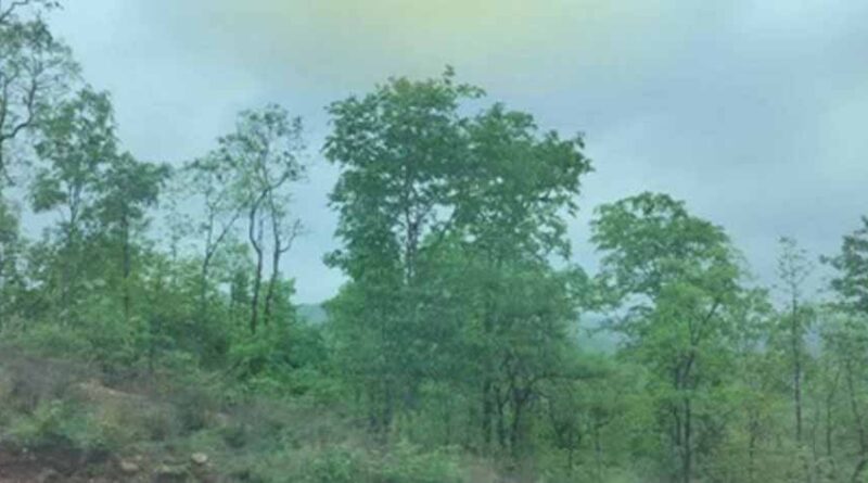 मध्य प्रदेश में दो-तीन दिन नहीं बरसेगा पानी, मौसम रहेगा शांत