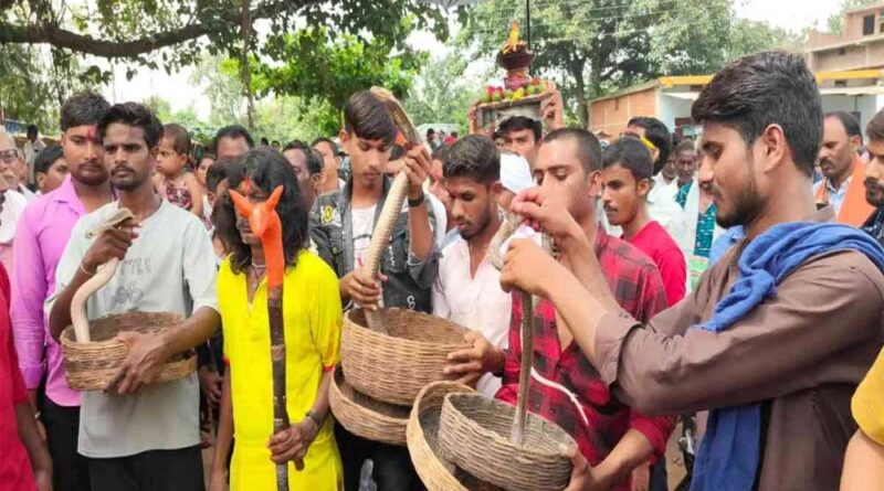 ऋषि पंचमी पर अनोखी परंपरा: सांपों की शोभायात्रा निकाली गई गांव में
