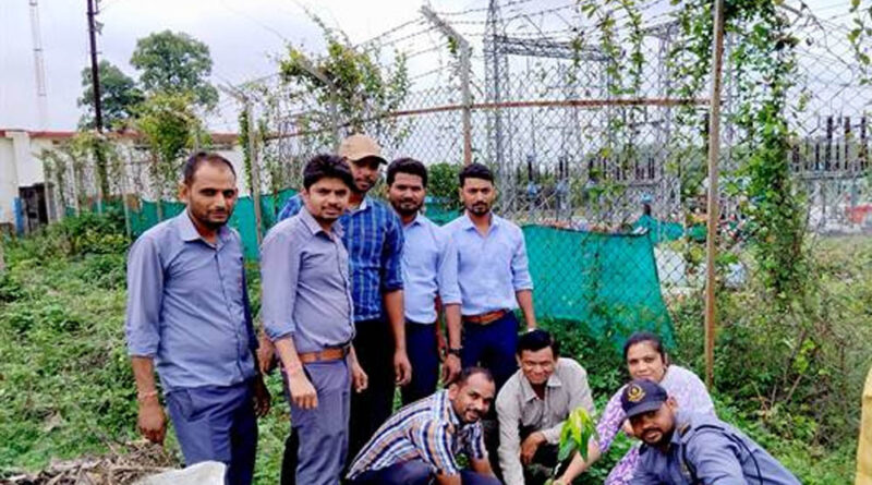 औषधि वाटिका विकास के लिए एम.पी. ट्रांसको में पौधारोपण