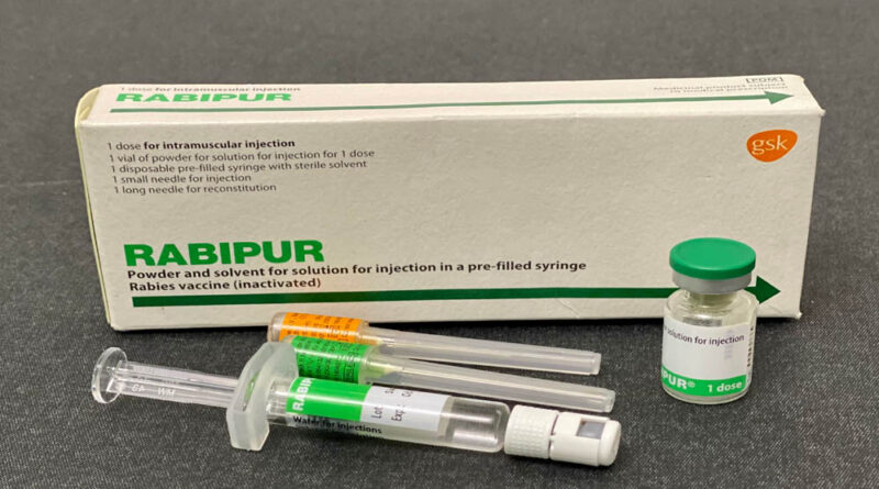 रायपुर : बस्तर संभाग में एंटी रेबीज वैक्सीन की पर्याप्त उपलब्धता