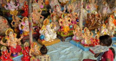 गणेश चतुर्थी पर खास: घर में सुख-समृद्धि के लिए लाएं बप्पा की ये सूंड वाली प्रतिमा