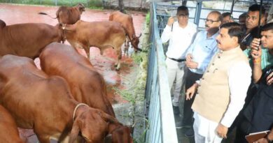 पशुपालन से किसानों की बढ़ेगी आय,बनेंगे आत्मनिर्भर:मुख्यमंत्री डॉ. मोहन यादव