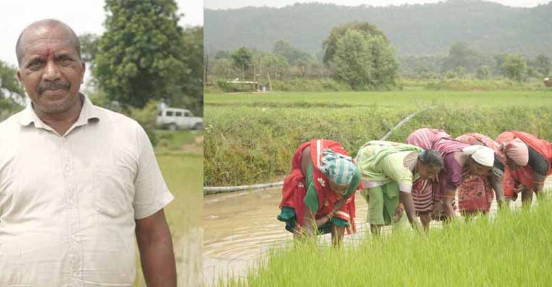 समय पर मिला खाद, खिल उठी उम्मीदें, संतोष की मेहनत में भरेंगे रंग