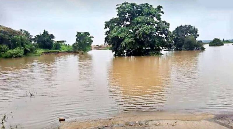 उफान पर गोदावरी: बीजापुर-हैदराबाद NH-163 पर यातायात ठप