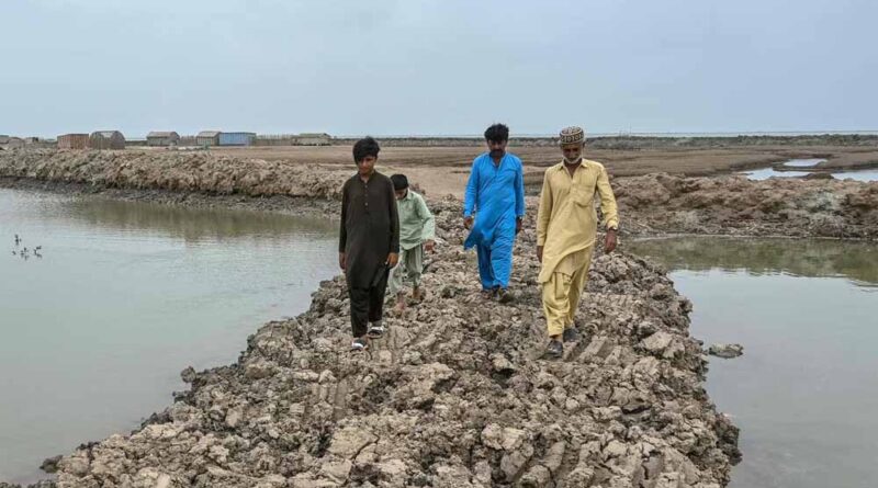 सिंधु डेल्टा का जल संकट: 80% पानी गायब, 12 लाख लोग बेघर, पाकिस्तान पर नई आपदा की दस्तक