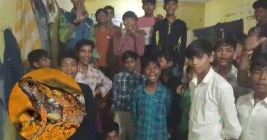 एमपी के आदिवासी हॉस्टल में लापरवाही! खाने की सब्जी में निकला मरा मेंढक