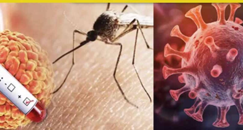 एमपी में खतरनाक वायरस की वापसी, डिंडोरी में बच्चे की मौत से मचा हड़कंप