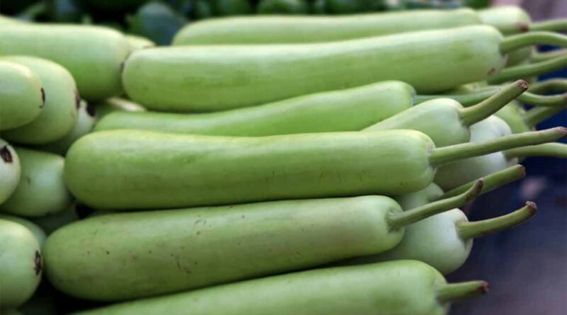 लौकी खाने से पहले सोच लें! इन 5 लोगों को हो सकता है बड़ा नुकसान