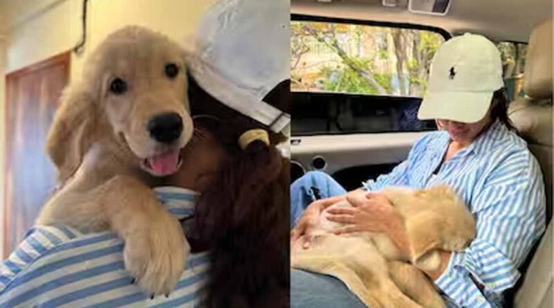 तृप्ति डिमरी के घर गूँजी किलकारियाँ? एक्ट्रेस ने शेयर किया नया पोस्ट