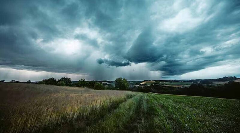 सितंबर में सामान्य से ज्यादा बरसात, किसानों को इन फसलों पर रखनी होगी नजर