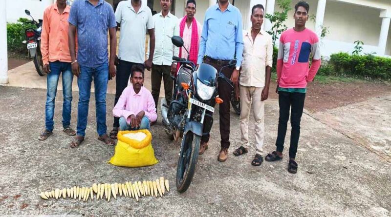 रायपुर : बांस करील के अवैध परिवहन पर कार्रवाई आरोपी गिरफ्तार