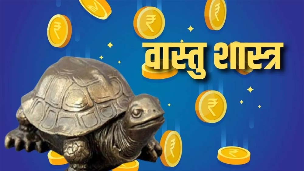 घर में कछुआ रखने से खुलते हैं सुख-समृद्धि के द्वार, जानें सही वास्तु नियम घर में कछुआ रखने से खुलते हैं सुख-समृद्धि के द्वार, जानें सही वास्तु नियम