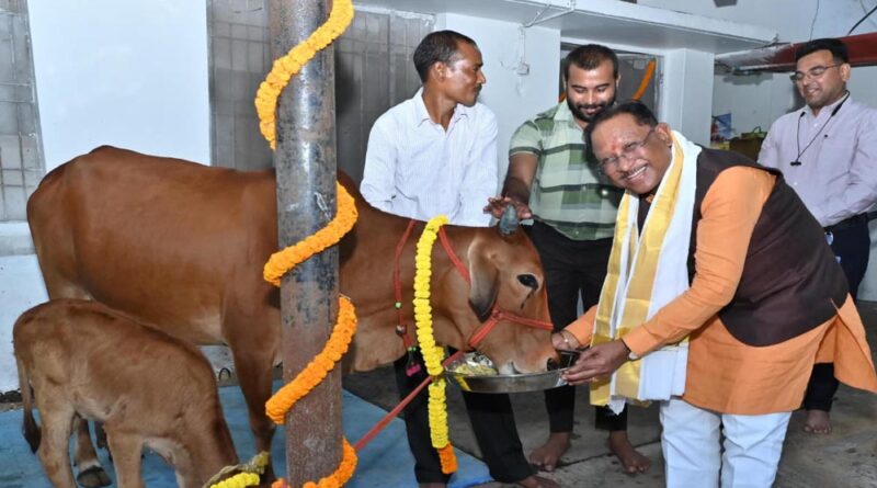 रायपुर : गोवर्धन पूजा के अवसर पर मुख्यमंत्री ने किया गौपूजन, प्रदेशवासियों की सुख-समृद्धि की कामना की
